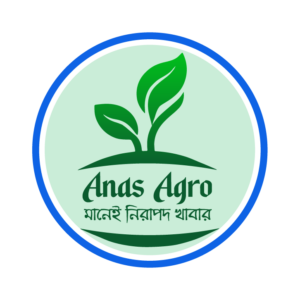 হিমসাগর আম ১০ কেজি